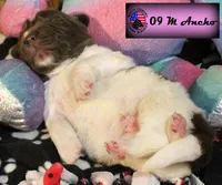 processed/c56e2048-0c1a-4a95-86da-2f09766e70a2/listing/03b72699-76ea-41bf-b768-847a2cfe32ae/305b589b-37a3-4454-98b2-eb52c5921c26