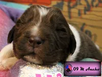 processed/c56e2048-0c1a-4a95-86da-2f09766e70a2/listing/03b72699-76ea-41bf-b768-847a2cfe32ae/5c09598e-9cab-48de-abb3-68e52968a95c