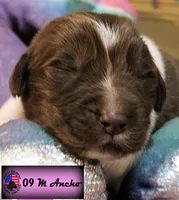 processed/c56e2048-0c1a-4a95-86da-2f09766e70a2/listing/03b72699-76ea-41bf-b768-847a2cfe32ae/623f5767-652d-4109-8a79-c3afa79c5fc1