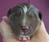 processed/c56e2048-0c1a-4a95-86da-2f09766e70a2/listing/03b72699-76ea-41bf-b768-847a2cfe32ae/8cb2556a-98fa-442b-9fe6-78f52e4139af