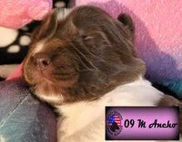 processed/c56e2048-0c1a-4a95-86da-2f09766e70a2/listing/03b72699-76ea-41bf-b768-847a2cfe32ae/c14d86b0-29fa-4d65-bd70-103b8a7d6444