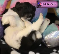 processed/c56e2048-0c1a-4a95-86da-2f09766e70a2/listing/0a9ae07b-5cb0-47b4-8c77-ec508b7ddbc4/03f00fb6-8690-4628-9102-522d0e7519cc