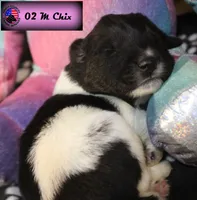 processed/c56e2048-0c1a-4a95-86da-2f09766e70a2/listing/0a9ae07b-5cb0-47b4-8c77-ec508b7ddbc4/11b23631-e521-40af-b1c6-068901a0eeb1