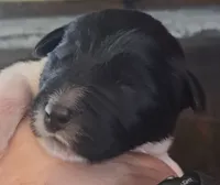 processed/c56e2048-0c1a-4a95-86da-2f09766e70a2/listing/0a9ae07b-5cb0-47b4-8c77-ec508b7ddbc4/2d89bb29-4cc4-4310-8019-8dd0565b5409