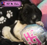 processed/c56e2048-0c1a-4a95-86da-2f09766e70a2/listing/0a9ae07b-5cb0-47b4-8c77-ec508b7ddbc4/602d5de4-8903-4206-a48e-f6387f024854