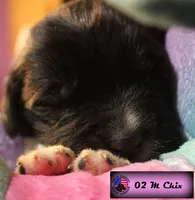 processed/c56e2048-0c1a-4a95-86da-2f09766e70a2/listing/0a9ae07b-5cb0-47b4-8c77-ec508b7ddbc4/7eebc291-3ba5-4830-baa2-f8dc45b17985