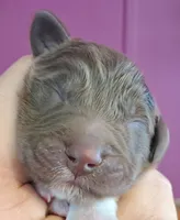 processed/c56e2048-0c1a-4a95-86da-2f09766e70a2/listing/1e1bed5f-04d5-496c-adab-6edc88de0164/1f488929-be94-45f8-ad61-462d058be3ad