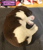 processed/c56e2048-0c1a-4a95-86da-2f09766e70a2/listing/1e1bed5f-04d5-496c-adab-6edc88de0164/3d89f321-b045-4b8a-a249-839a6b5ab587