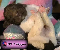 processed/c56e2048-0c1a-4a95-86da-2f09766e70a2/listing/1e1bed5f-04d5-496c-adab-6edc88de0164/903b92db-82d0-465f-a557-902053ff3479