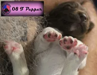 processed/c56e2048-0c1a-4a95-86da-2f09766e70a2/listing/1e1bed5f-04d5-496c-adab-6edc88de0164/d97b41dd-7a04-4196-ba84-0153a8ec2893