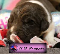 processed/c56e2048-0c1a-4a95-86da-2f09766e70a2/listing/6f0b0ed8-5bbc-4e32-b099-4a11aa64f5ff/0618f3e9-09dc-4d16-b43a-c998db98355b