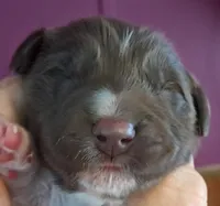 processed/c56e2048-0c1a-4a95-86da-2f09766e70a2/listing/6f0b0ed8-5bbc-4e32-b099-4a11aa64f5ff/ad5f2844-ddfc-4a80-a986-584e9c69ea64