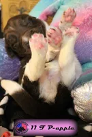 processed/c56e2048-0c1a-4a95-86da-2f09766e70a2/listing/6f0b0ed8-5bbc-4e32-b099-4a11aa64f5ff/cb415d7b-4de5-43c9-81c9-dbf77f2fb070