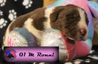 processed/c56e2048-0c1a-4a95-86da-2f09766e70a2/listing/934a5e3c-45d2-48f0-a913-e7c8ab1c3781/55530081-dfdf-4d53-b94d-a165bbfb056d