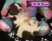 processed/c56e2048-0c1a-4a95-86da-2f09766e70a2/listing/934a5e3c-45d2-48f0-a913-e7c8ab1c3781/76acf095-6e6e-42b6-b09f-93cf3f93b0b6