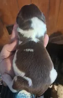 processed/c56e2048-0c1a-4a95-86da-2f09766e70a2/listing/934a5e3c-45d2-48f0-a913-e7c8ab1c3781/7f9902b2-a856-422a-a638-ffd04d33ecf5