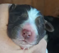 processed/c56e2048-0c1a-4a95-86da-2f09766e70a2/listing/934a5e3c-45d2-48f0-a913-e7c8ab1c3781/9a8a9057-8482-447f-867b-14aeb0267a10