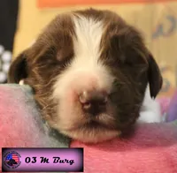 processed/c56e2048-0c1a-4a95-86da-2f09766e70a2/listing/98f6f4fe-af94-4df0-9b54-ec5d55788324/0b602b1c-b437-4096-aa36-948cc6174636