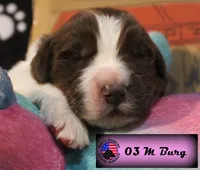 processed/c56e2048-0c1a-4a95-86da-2f09766e70a2/listing/98f6f4fe-af94-4df0-9b54-ec5d55788324/5a00f260-4912-4ea3-9db5-f69ae6e5877d