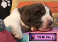 processed/c56e2048-0c1a-4a95-86da-2f09766e70a2/listing/98f6f4fe-af94-4df0-9b54-ec5d55788324/7c1bc796-83d1-4d89-8824-d51197865d60