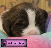 processed/c56e2048-0c1a-4a95-86da-2f09766e70a2/listing/98f6f4fe-af94-4df0-9b54-ec5d55788324/89f9c80a-72cb-4b10-a101-24da74f89268