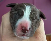 processed/c56e2048-0c1a-4a95-86da-2f09766e70a2/listing/98f6f4fe-af94-4df0-9b54-ec5d55788324/d8c5840e-20c9-4ff2-91cd-559dcf032694