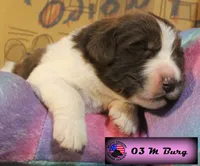 processed/c56e2048-0c1a-4a95-86da-2f09766e70a2/listing/98f6f4fe-af94-4df0-9b54-ec5d55788324/d93687b6-158b-4980-8a34-306fcd2d1135