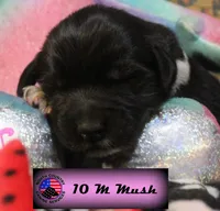 processed/c56e2048-0c1a-4a95-86da-2f09766e70a2/listing/a3ee22fa-9580-4f9b-b395-b913b9915bd7/229e2a82-4631-46b6-8896-15090fd3a5c5