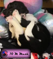 processed/c56e2048-0c1a-4a95-86da-2f09766e70a2/listing/a3ee22fa-9580-4f9b-b395-b913b9915bd7/369203d6-88d1-4959-ae51-a5018f2ad982