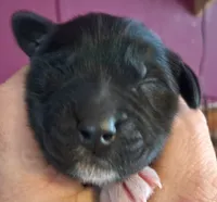 processed/c56e2048-0c1a-4a95-86da-2f09766e70a2/listing/a3ee22fa-9580-4f9b-b395-b913b9915bd7/42516e02-f3ae-41c9-9d0f-38807a01d0c4