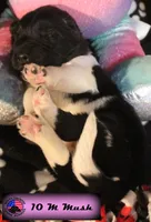 processed/c56e2048-0c1a-4a95-86da-2f09766e70a2/listing/a3ee22fa-9580-4f9b-b395-b913b9915bd7/65af9227-47c8-4d20-aae8-02b5ab3d7283