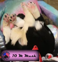 processed/c56e2048-0c1a-4a95-86da-2f09766e70a2/listing/a3ee22fa-9580-4f9b-b395-b913b9915bd7/d43a2efb-d8b7-4170-90cc-2ab8701c0b5b