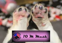 processed/c56e2048-0c1a-4a95-86da-2f09766e70a2/listing/a3ee22fa-9580-4f9b-b395-b913b9915bd7/d805c606-63ac-4d3a-b896-8d453ecf9fcb