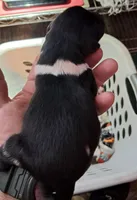 processed/c56e2048-0c1a-4a95-86da-2f09766e70a2/listing/a3ee22fa-9580-4f9b-b395-b913b9915bd7/e8376bfc-a333-4a91-b9ef-7aa64b8f4214