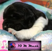 processed/c56e2048-0c1a-4a95-86da-2f09766e70a2/listing/a3ee22fa-9580-4f9b-b395-b913b9915bd7/e9742f70-b323-49a7-8598-44dc32f84ba9