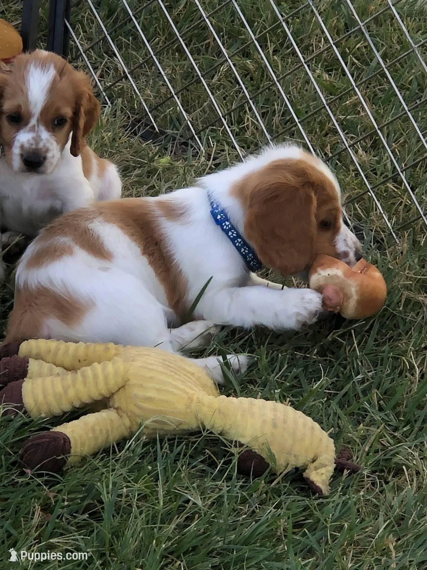 processed/c56e3c26-59c0-432f-8267-3ac52652b1b3/facility/0a8273ac-ccc5-42be-a8e5-a3b89976c47d