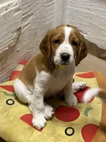 processed/c56e3c26-59c0-432f-8267-3ac52652b1b3/facility/2f8e19dd-1c3b-4d97-8a6c-55a45eae0aab