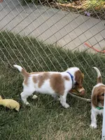 processed/c56e3c26-59c0-432f-8267-3ac52652b1b3/facility/32693613-2795-4b63-a27a-415b8d112de3