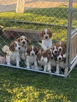 processed/c56e3c26-59c0-432f-8267-3ac52652b1b3/facility/72080a10-9cf2-4b93-af03-d795a38fbd0d