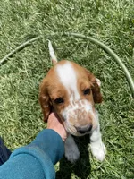 processed/c56e3c26-59c0-432f-8267-3ac52652b1b3/facility/81b200ea-5670-4bbb-a868-66df4247109e