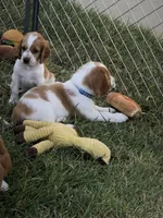 processed/c56e3c26-59c0-432f-8267-3ac52652b1b3/facility/8f213c04-b198-4a28-a93d-d6a241e198f2