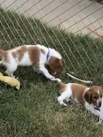 processed/c56e3c26-59c0-432f-8267-3ac52652b1b3/facility/9f91a27b-1f6b-4965-820f-da30d73794c2