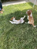 processed/c56e3c26-59c0-432f-8267-3ac52652b1b3/facility/bae1fba9-7b99-4379-8a44-927efa8bc319