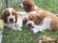 processed/c56e3c26-59c0-432f-8267-3ac52652b1b3/facility/d0a3d64b-42c3-48a8-988e-cb5cdb4d8181