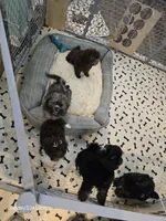 processed/c56ffd97-cfd2-4e7d-8b02-df0e511a9ce1/facility/02801c79-7f2d-46c3-9996-105bed38f62d