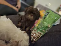 processed/c56ffd97-cfd2-4e7d-8b02-df0e511a9ce1/facility/671a17ca-d80f-4f33-85df-a5566af0c118