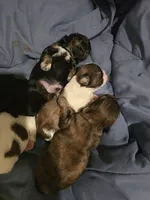 processed/c56ffd97-cfd2-4e7d-8b02-df0e511a9ce1/facility/7e563677-a09d-4e30-9f96-25c53f931a6c