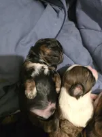 processed/c56ffd97-cfd2-4e7d-8b02-df0e511a9ce1/facility/86151575-6e82-4cfe-8d09-fd1e5b6fb676