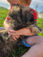 processed/c56ffd97-cfd2-4e7d-8b02-df0e511a9ce1/facility/c91adaa8-ef06-4789-b96d-4458aba4faf1