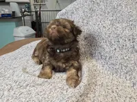 processed/c56ffd97-cfd2-4e7d-8b02-df0e511a9ce1/facility/ee1d2c17-05e9-4872-8363-4515d91d472b